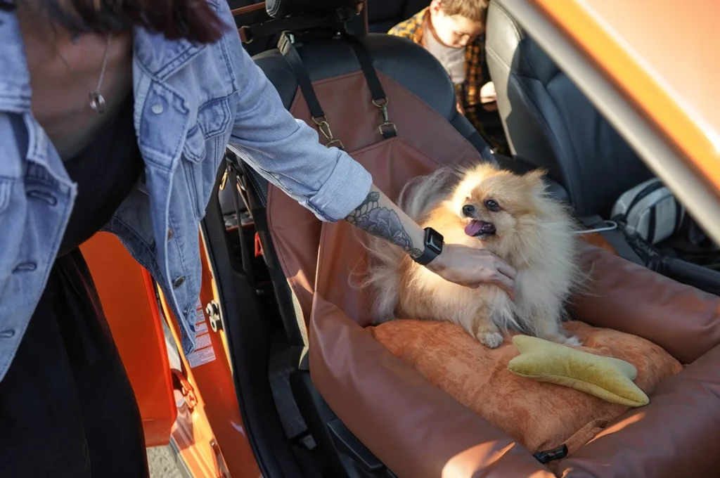 Toyota RAV4 Dog Car Seat for Pomeranians