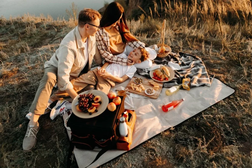 best picnic blanket 2023