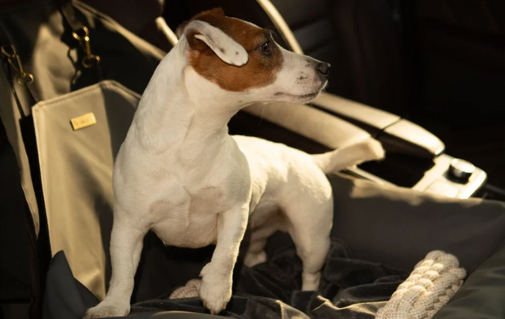 Ram Truck Dog Car Seat for Russell Terriers