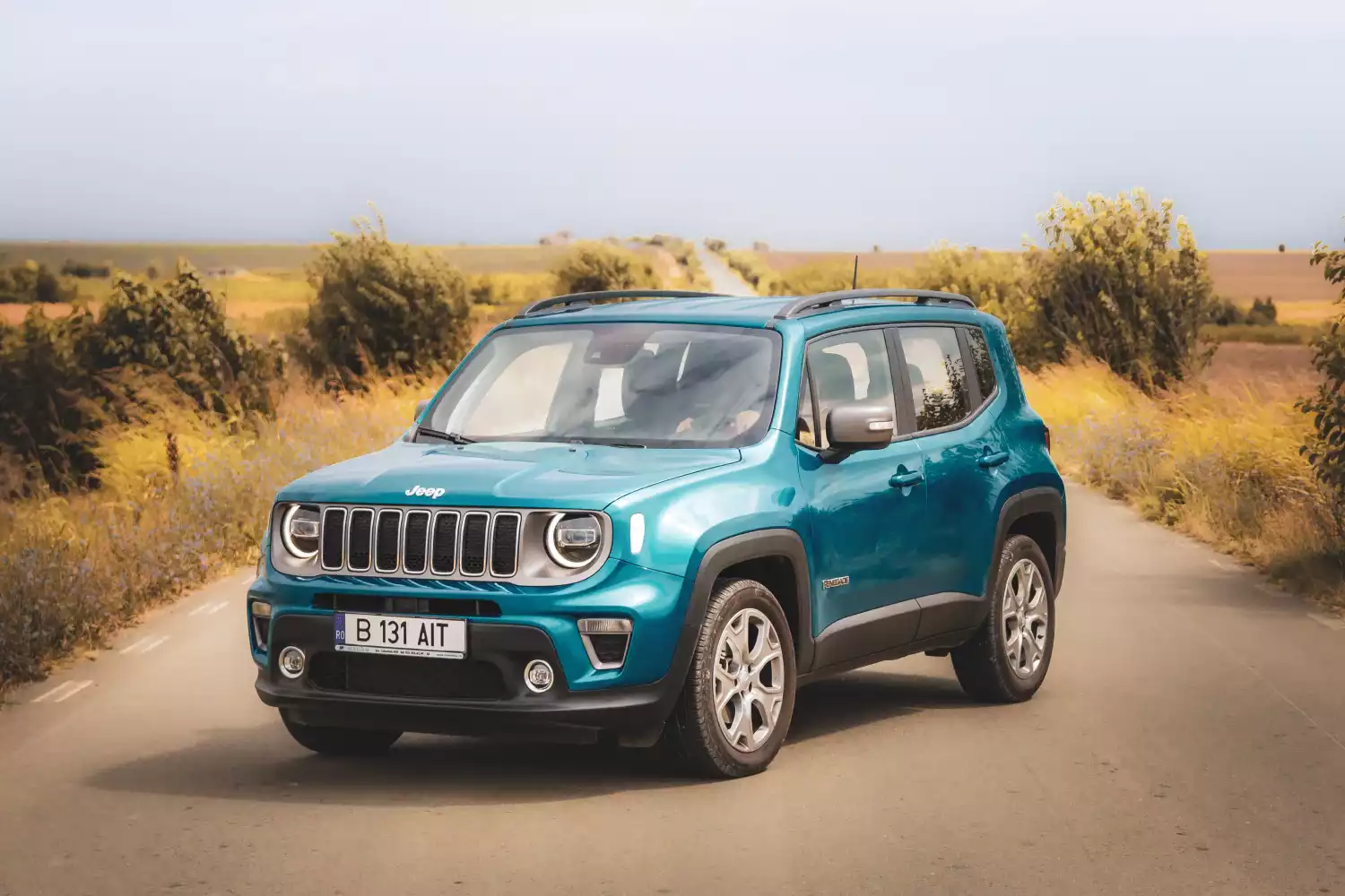 trash containers for Jeep Renegade