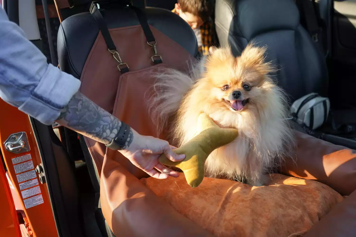 Kia Sportage Dog Car Seat for Fox Terriers