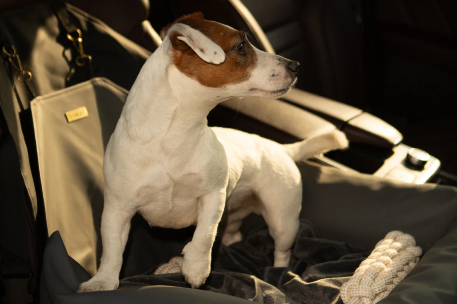 Toyota Highlander Dog Car Seat for Parson Russell Terriers