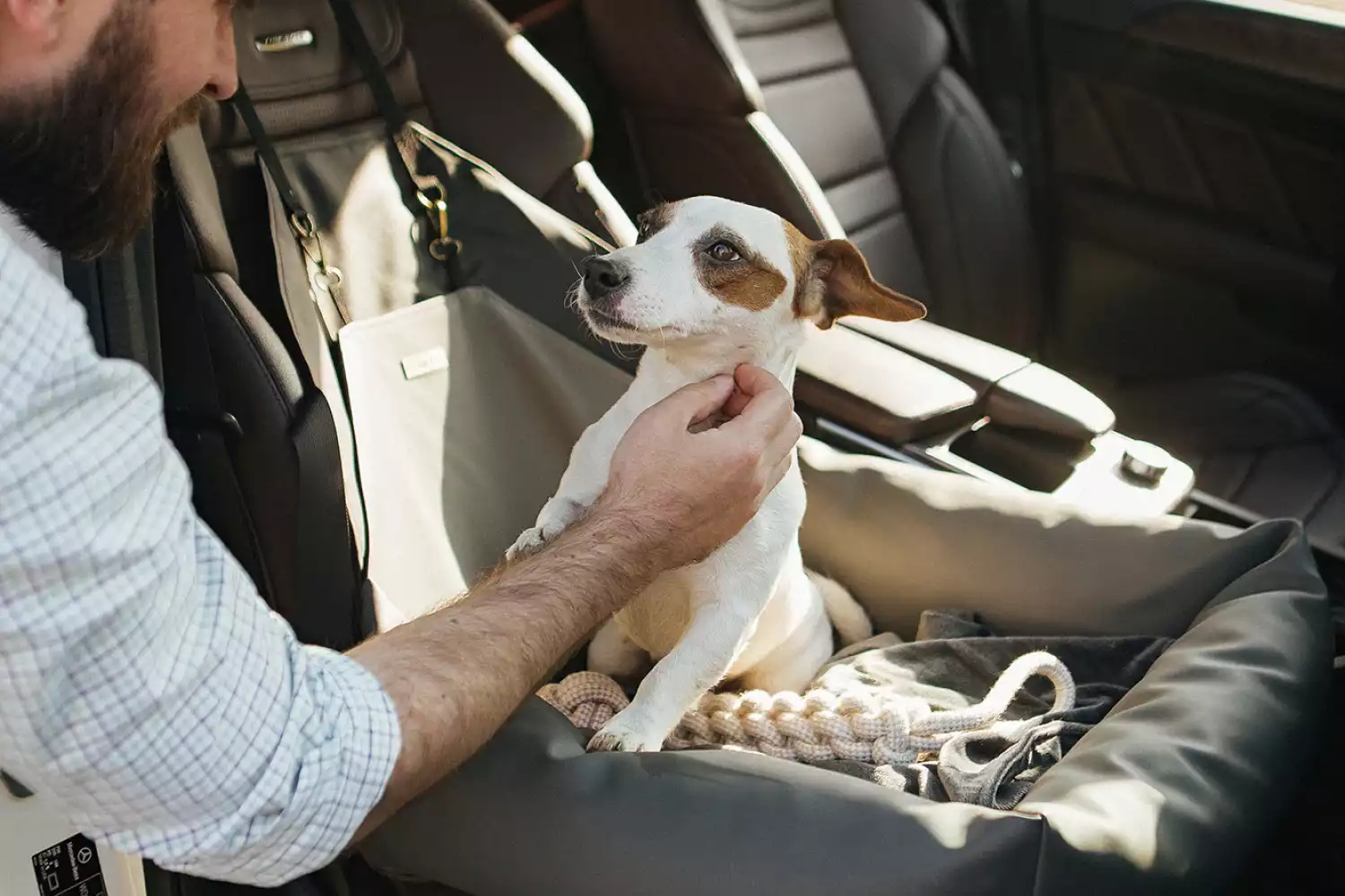 Cockapoos Dog Car Seat for GMC Sierra