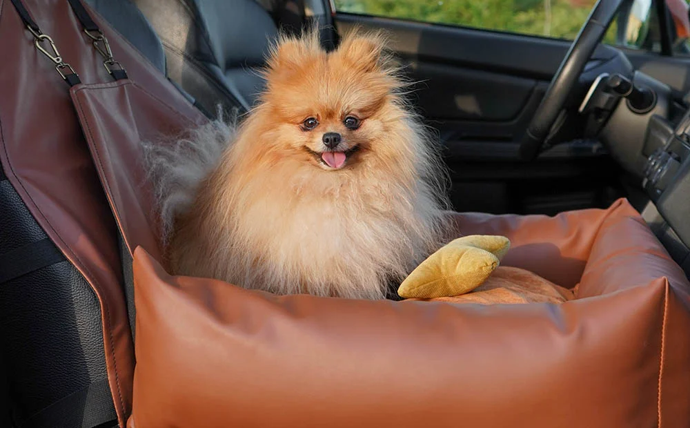 Miniature Poodles Dog Car Seat for Lexus RX