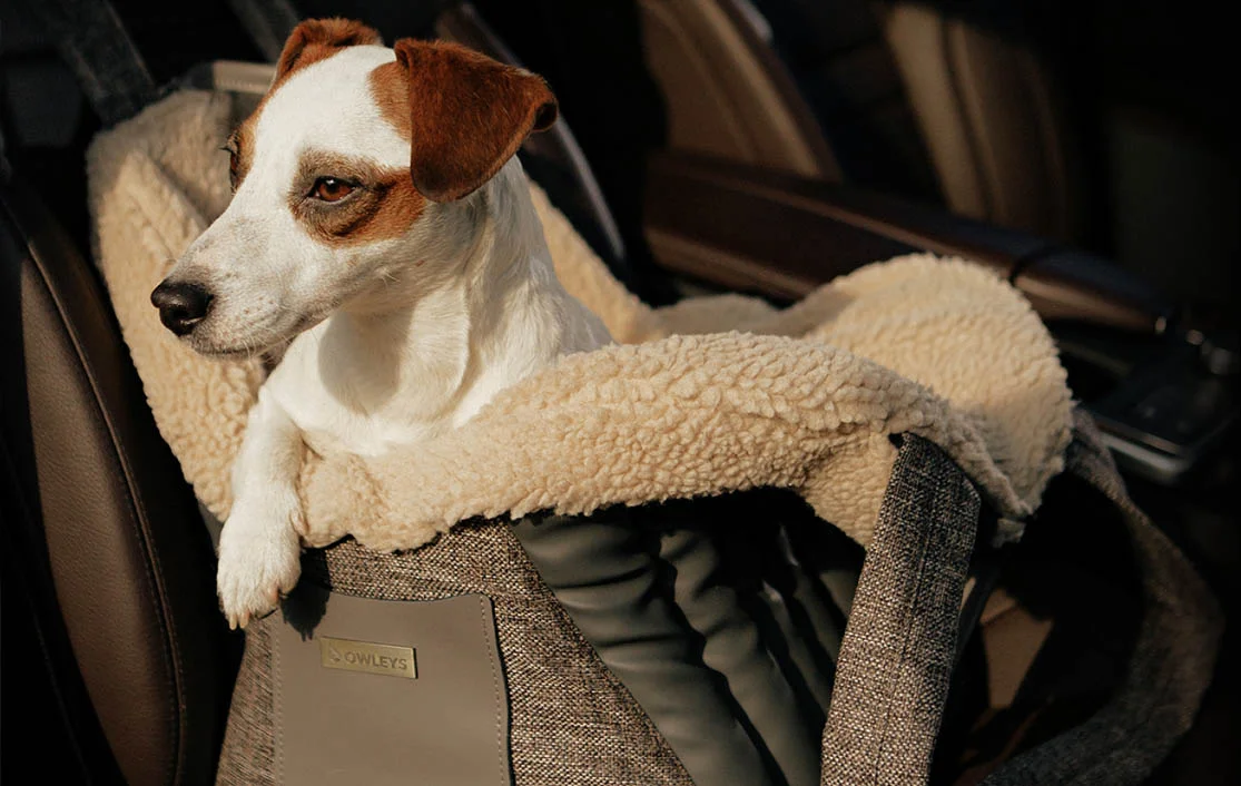 Dog Carrier Purse for Dandie Dinmont Terrier